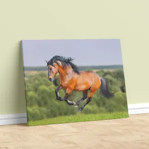 CABALLOS LIENZO 07: Arte Ecuestre que Inspira - CABALLOS LIENZO 07