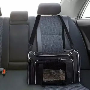 Transportador Maleta Plegable para Mascotas: ¡Viaja con Estilo y Comodidad! - TRANSPORTADOR MALETA PLEGABLE  MASCOTAS