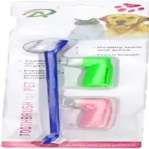 Kit Exclusivo: Cepillo y 2 Dedales para el Cuidado de tu Mascota - KIT CEPILLO + 2 DEDALES PARA MASCOTAS