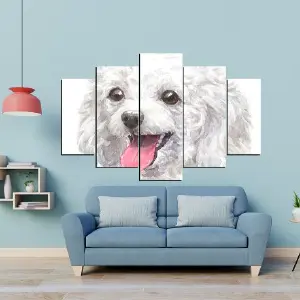 PERRO 60: La Revolución en Cuidado Canino - PERRO 60