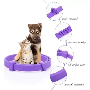 Collar de Feromonas para Gatos y Perros: Tranquilidad y Bienestar - Collar Feromonas Para Gatos Y Perros