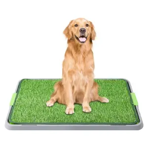 Tapete de Entrenamiento Grande: Tu Aliado para el Éxito Canino - Tapete Entrenamiento Grande