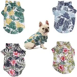 Camiseta Playera para Perros Talla S: ¡Estilo y Comodidad Bajo el Sol! - camisa  playera para perro talla  S