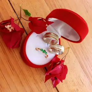 ARGOLLAS ESPLENDOR PLATA Y ORO 😍