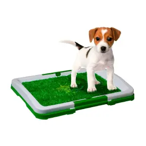 Tapete Entrenador para Perros: Adiós a los accidentes! - Tapete Entrenador Perros Lavable Baño
