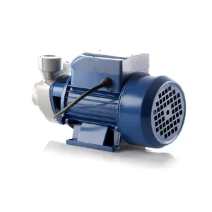 Bomba Periférica 1/2 HP Mercury: Potencia y Durabilidad Inigualables - Bomba Periferica 1/2 HP Mercury