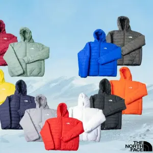 Chaqueta Hombre The North Face RMST Down Hoodie - chaqueta hombre