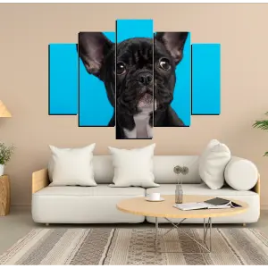 PERRO 115: Rendimiento y Estilo sin Compromisos - PERRO 115