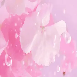 SERUM DE COLAGENO Y FLOR DE CEREZO: Rejuvenece Tu Piel - SERUM DE COLAGENO Y FLOR DE CEREZO