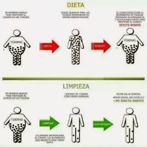 KIT DETOX COLON: Limpieza y bienestar intestinal - KIT DETOX COLON