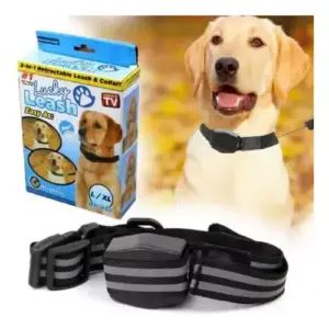 Collar Magnético para Mascotas: ¡Elegancia y Bienestar para tu Amigo Peludo! - Collar Magnética Para Mascotas