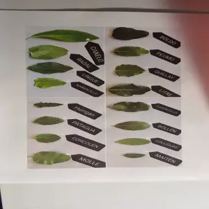 Tapete Acuático Mágico: Diversión Asegurada para tu Bebé - TAPETE  ACUATICO