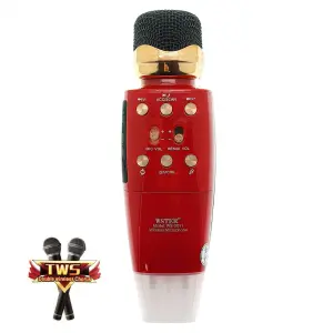 MICROFONO WSTER WS-2011: ¡Tu Voz, Amplificada con Calidad Profesional! - MICROFONO WSTER WS-2011