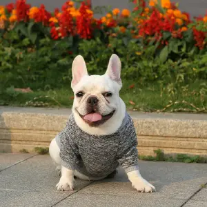 Suéter Clásico Gris para tu Mascota - Suéter Classic Gris-Ropa Mascotas