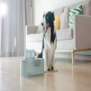 Fuente de Agua Automática de 6L: Hidratación Inteligente para tu Mascota - Fuente De Agua Automática De 6L Bebeder