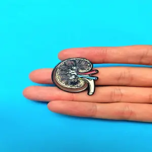 Riñón Premium: El Cuidado Óptimo que tu Cuerpo Merece - Riñón Premium