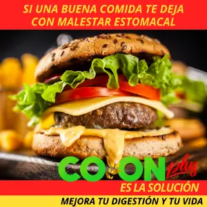 FIBRA NATURAL COLON PLUS: Tu Aliado para una Digestión Saludable - FIBRA NATURAL COLON PLUS