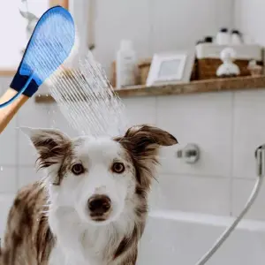 Guante de Baño para Mascotas GM-2: Limpieza y Cariño a la Vez - Guante de baño mascota GM-2