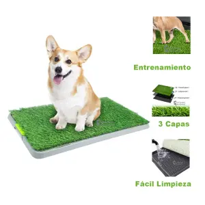 Tapete de Entrenamiento para Perros: ¡El Mejor Amigo de tu Mascota! - Tapete Entrenamiento Para Perro Casa