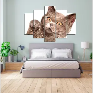 GATO 03: La Revolución en Confort Felino - GATO 03