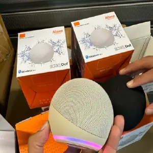 ALEXA ECHO DOT: Tu Asistente de Voz Económico - ALEXA ECHO DOT CALIDAD BAJA (ALAXE)