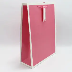 Bolsa de Regalo Grande: ¡Color y Estilo para tu Regalo Perfecto! - Bolsa de regalo grande motivo colores y
