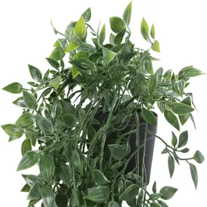 Planta Colgante Verde Con Maceta: Dale Vida a Tu Hogar - Planta Colgante Verde Con Maceta