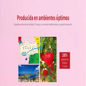 GEL DE GRANADA ATOMY: El Poder Revitalizante de la Naturaleza - GEL DE GRANADA ATOMY