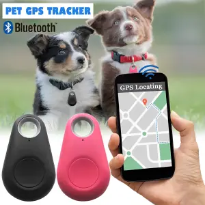 Chip GPS para Mascotas y Llaves: ¡Seguridad y Tranquilidad al Alcance de tu Mano! - Chip GPS Para Mascotas o Llaves