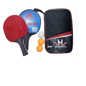 Raqueta de Ping Pong 202: Experimenta la Perfección en el Juego - raqueta ping pong 202