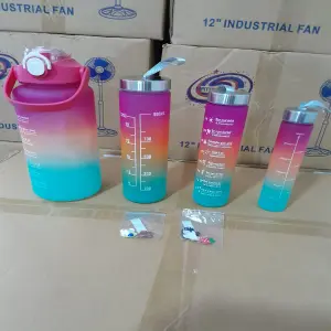 Set de Termos por 4 Piezas con Stickers: La Solución Perfecta para tus Bebidas - Set de Termos por 4 Piezas con Stikers