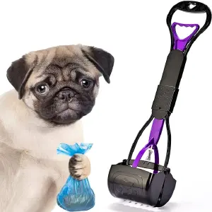 RECOGEDOR DE POPO: La Solución Definitiva para Paseos Impecables - RECOGEDOR DE POPO