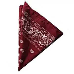 Pañoleta Bandana Estampada Algodón 52cm: ¡Estilo y Versatilidad al Alcance de Tu Mano! - Pañoleta Bandana Estampada Algodón 52cm