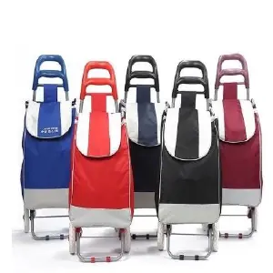 CARRITO DE MERCADO: ¡Tu compañero ideal para ir de compras! - CARRITO DE MERCADO