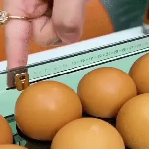 Organizador de Huevos de 3 Niveles: ¡Mantén tus huevos frescos y organizados! - Organizador de Huevos de 3 niveles