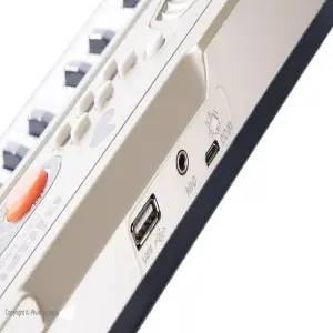 Organeta BF-530: El Sonido Perfecto al Alcance de Tus Dedos - organeta BF-530