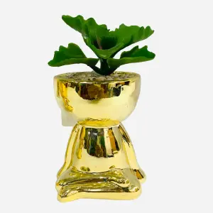 Matera Suculenta Niño Dorado: El Toque Perfecto de Elegancia - Matera Suculenta Niño Dorado Adorno