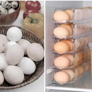 Bandeja Dispensadora de Huevos: 3 Niveles de Frescura - Bandeja dispensadora huevos 3 niveles