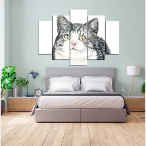 GATO 08: El felino de la innovación - GATO 08