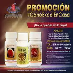 Cápsulas Ganoderma Fus: El Secreto para una Salud Óptima - CAPSULAS GANODERMA FUS