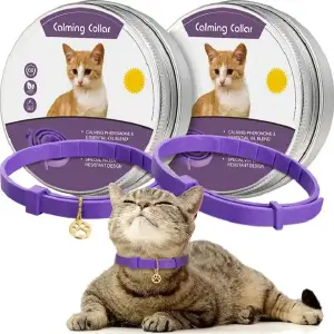 Collar Antiestrés para Gatos: Tranquilidad y Bienestar para tu Felino - Collar Antiestrés Para Gatos