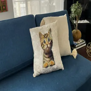 Funda de Cojín Gatito Chismoso: ¡Dale un toque de ternura a tu hogar! - Funda de Cojín  Gatito Chismoso