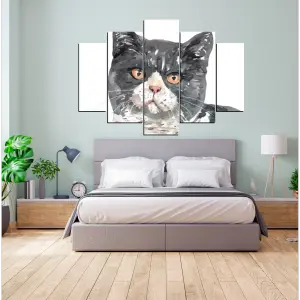 GATO 05: El compañero perfecto para tu hogar - GATO 05