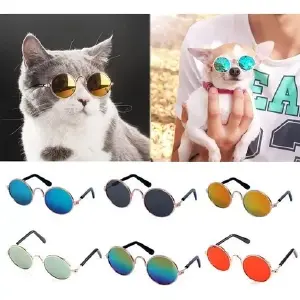 Gafas de Sol para Mascotas: Estilo y Protección para tu Mejor Amigo - Gafas de sol para mascotas Perros y gato