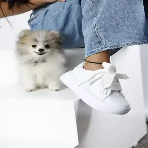 CLOE: Tu Nueva Compañera Inteligente - CLOE