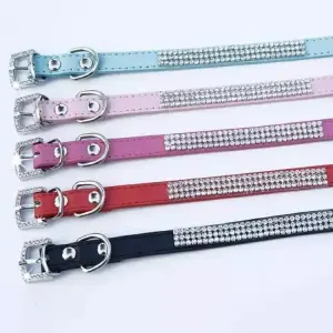Collar con Pedrería para Perro: Elegancia y Brillo para tu Mejor Amigo - Collar con pedreria para perro