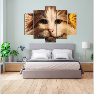 GATO 54: El compañero perfecto para tu hogar - GATO 54