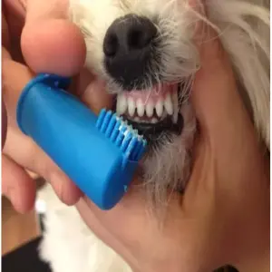 Cepillo Dental Doble Para Mascota - ¡Higiene Oral Completa! - Cepillo Dental Doble Para Mascota x2 uni