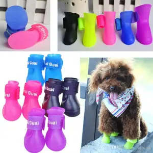 Zapatos en Silicona Talla XL para Mascotas: ¡Comodidad y Seguridad para tu Mejor Amigo! - Zapatos en silicona mascotas talla XL