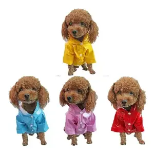 Carpa para Lluvia de Colores para Mascotas - Carpa para lluvia de colores mascota